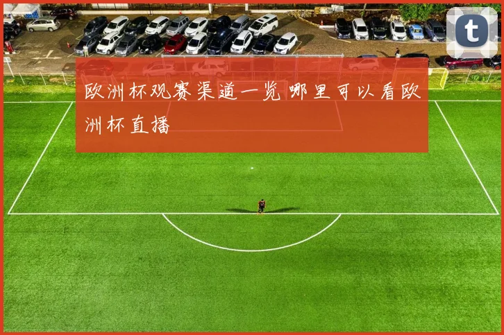 欧洲杯观赛渠道一览 哪里可以看欧洲杯直播