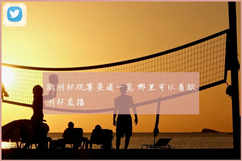 欧洲杯观赛渠道一览 哪里可以看欧洲杯直播