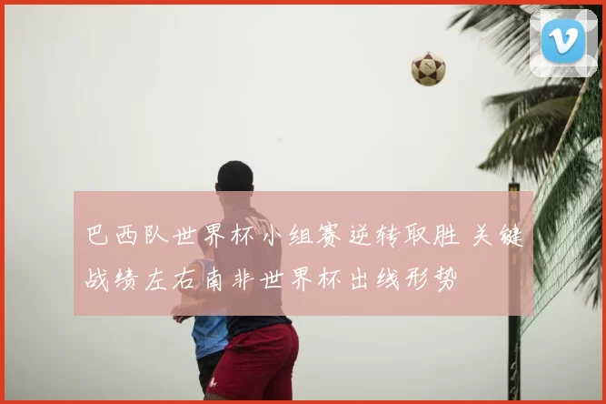 巴西队世界杯小组赛逆转取胜 关键战绩左右南非世界杯出线形势
