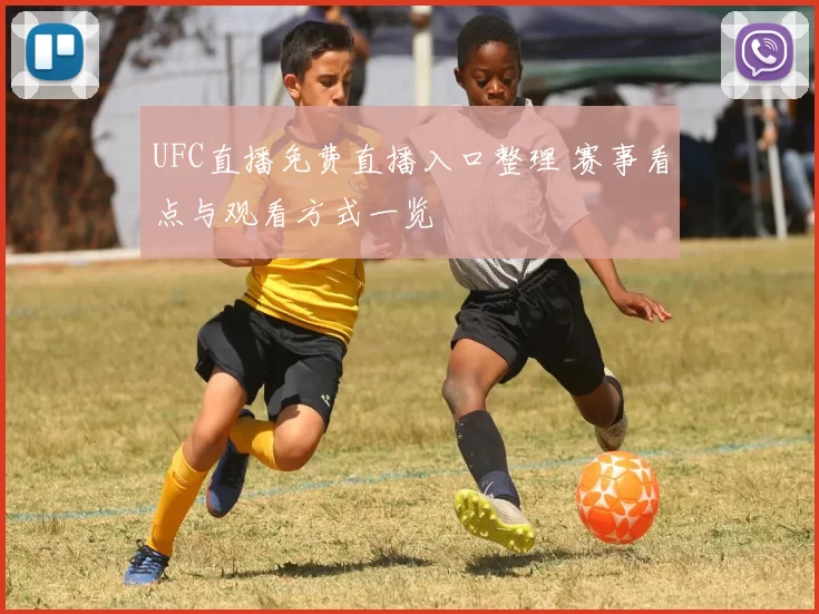 UFC直播免费直播入口整理 赛事看点与观看方式一览